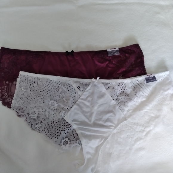 Lane Bryant Other - Lot of Lane bryant panties